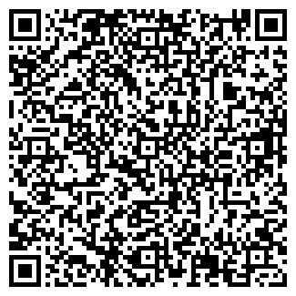 QR-код с контактной информацией организации ИП Корнеев В.В.