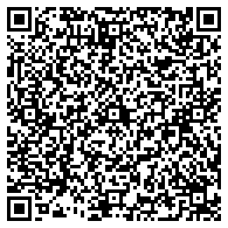 QR-код с контактной информацией организации Like