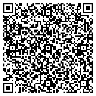 QR-код с контактной информацией организации Магазин  игрушек Бадабум