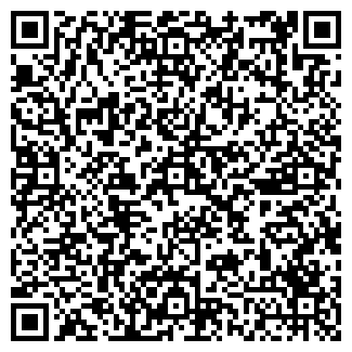 QR-код с контактной информацией организации Телесемь