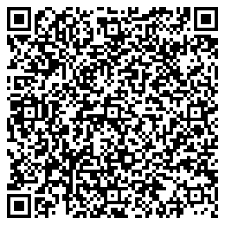 QR-код с контактной информацией организации Русь