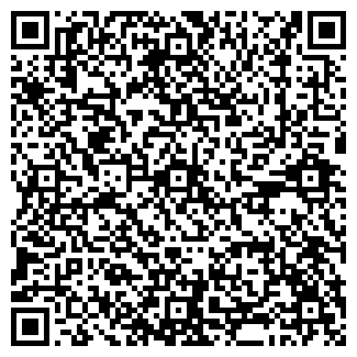 QR-код с контактной информацией организации ЛЫСЕНКО, ЧП