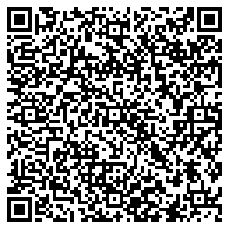 QR-код с контактной информацией организации Lemure