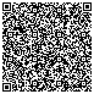 QR-код с контактной информацией организации Детская художественная школа им. Н.С. Качинского