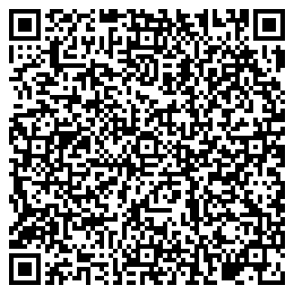 QR-код с контактной информацией организации Страна игрушек