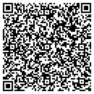 QR-код с контактной информацией организации Детский сад №438