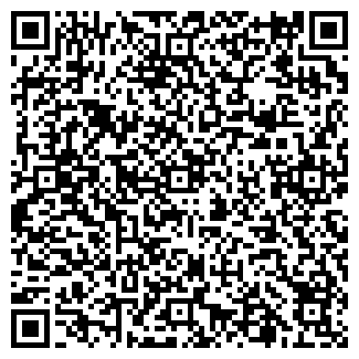 QR-код с контактной информацией организации Лейсан