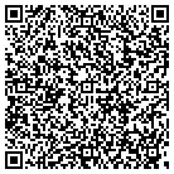 QR-код с контактной информацией организации Детский сад №196, Теремок