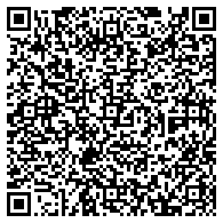 QR-код с контактной информацией организации MALECON DJ BAR