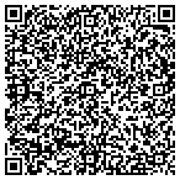 QR-код с контактной информацией организации Детский сад №193, Боровичок