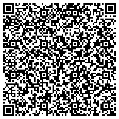 QR-код с контактной информацией организации НИКОПОЛЬСКИЕ ЭЛЕКТРОСЕТИ, ДЧП ОАО ДНЕПРОБЛЭНЕРГО