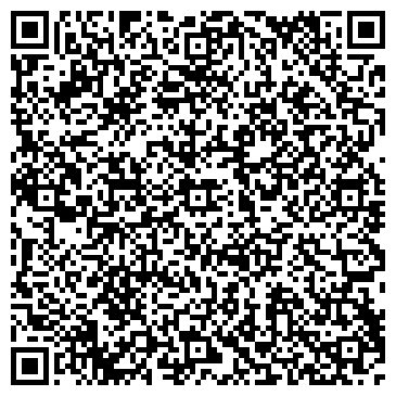 QR-код с контактной информацией организации Детская школа искусств №1
