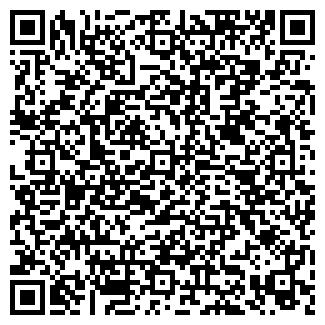 QR-код с контактной информацией организации Гиро Нико