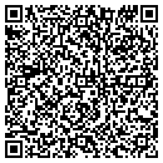 QR-код с контактной информацией организации Магазин №1, ООО Лазарь