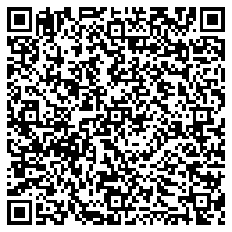 QR-код с контактной информацией организации Karemons