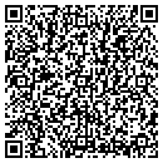 QR-код с контактной информацией организации АЗС Пальмира