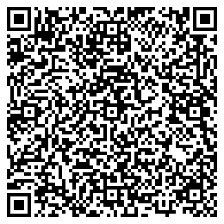 QR-код с контактной информацией организации АГЗС, ООО Газсистем