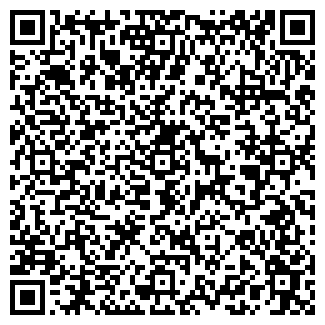 QR-код с контактной информацией организации Ballin