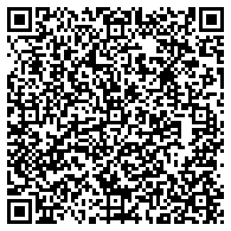 QR-код с контактной информацией организации Мини