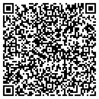 QR-код с контактной информацией организации Автомойка на ул. Гастелло, 56