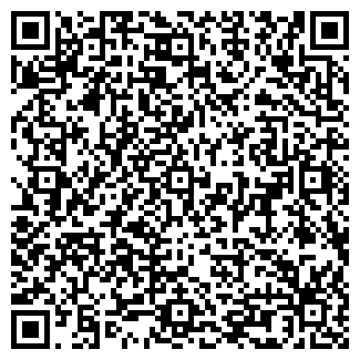 QR-код с контактной информацией организации Минимаркет, ООО Максимум