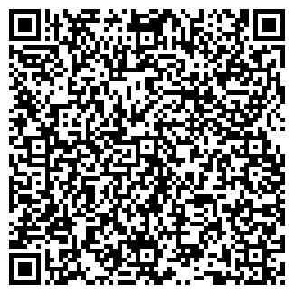 QR-код с контактной информацией организации Продуктовый магазин, ООО Багир
