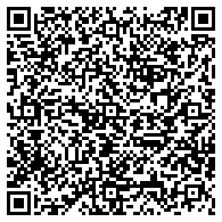 QR-код с контактной информацией организации Магазин автотоваров