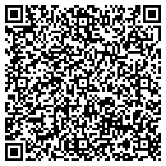 QR-код с контактной информацией организации ИП Васильева И.В.