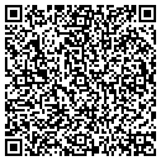 QR-код с контактной информацией организации ИП Наумов В.Т.