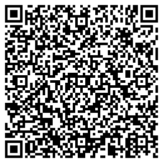 QR-код с контактной информацией организации ИП Шпагин М.М.