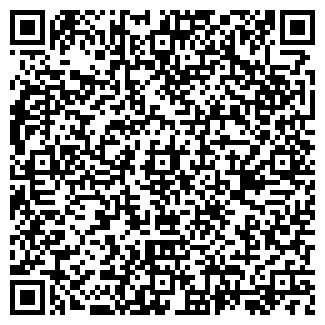 QR-код с контактной информацией организации ИП Нафиков М.И.