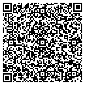 QR-код с контактной информацией организации ЛИЦЕЙ