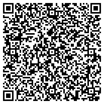 QR-код с контактной информацией организации ИП Мельников В.Г.