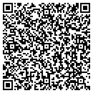 QR-код с контактной информацией организации Таира, продуктовый магазин