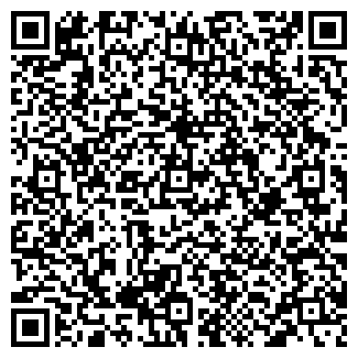 QR-код с контактной информацией организации Спутник, продуктовый магазин