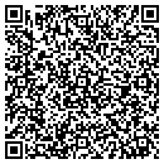 QR-код с контактной информацией организации Планетарий