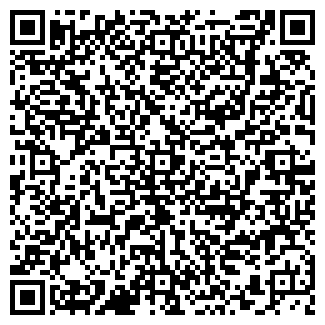 QR-код с контактной информацией организации ООО Визавик