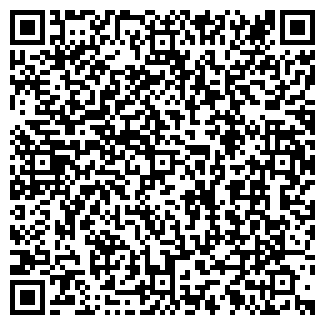 QR-код с контактной информацией организации Раиса, продуктовый магазин