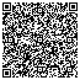 QR-код с контактной информацией организации Алан, минимаркет