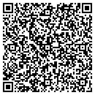 QR-код с контактной информацией организации Элина, торговая сеть