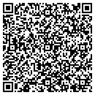 QR-код с контактной информацией организации Элина, торговая сеть