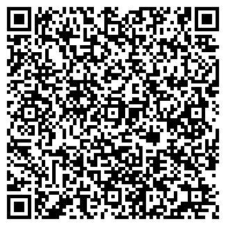 QR-код с контактной информацией организации Элина, торговая сеть