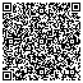 QR-код с контактной информацией организации Элина, торговая сеть