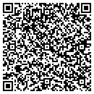 QR-код с контактной информацией организации Элина, торговая сеть