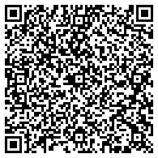 QR-код с контактной информацией организации Metro. Казань