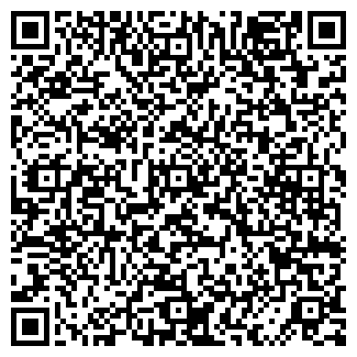 QR-код с контактной информацией организации Metro. Казань