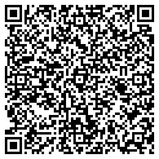 QR-код с контактной информацией организации Metro. Казань