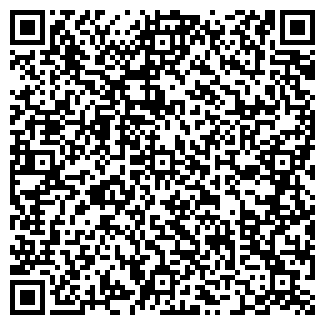 QR-код с контактной информацией организации Metro. Казань