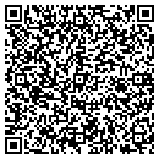 QR-код с контактной информацией организации Metro. Казань