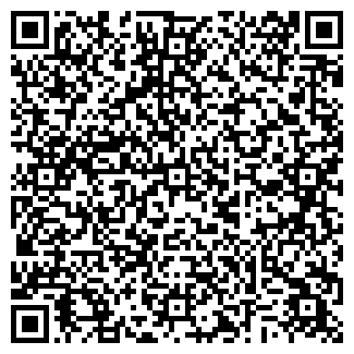 QR-код с контактной информацией организации Metro. Казань